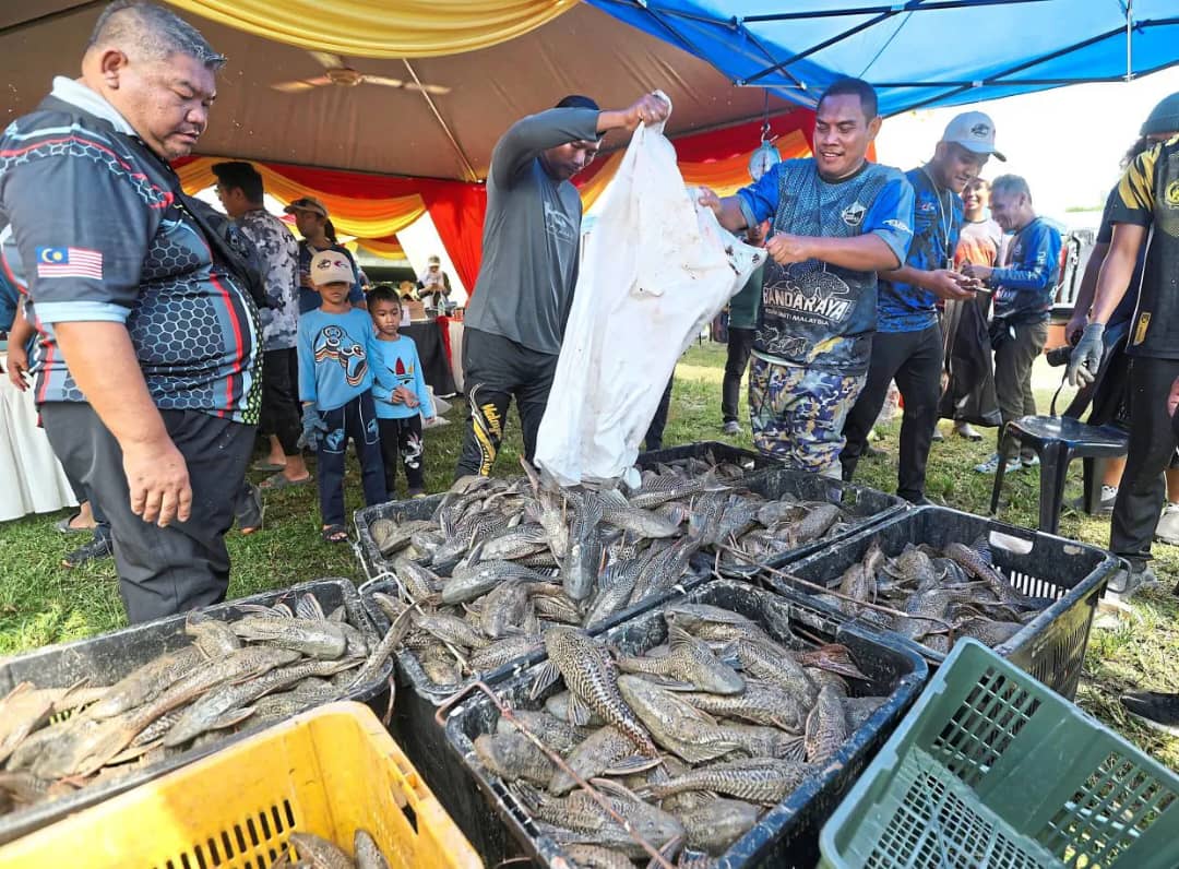 Selangor Offers RM1 Bounty for Invasive ‘Bandaraya’ Fish