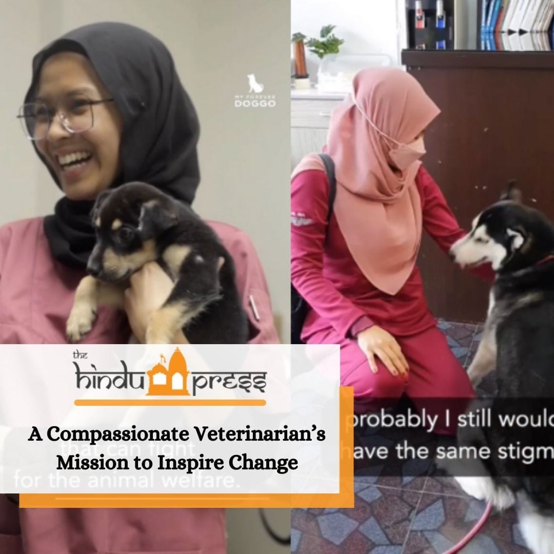 A Compassionate Veterinarian’s Mission to Inspire Change