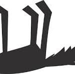 The Magician’s Trick and The Digital Dead Cat