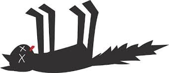 The Magician’s Trick and The Digital Dead Cat